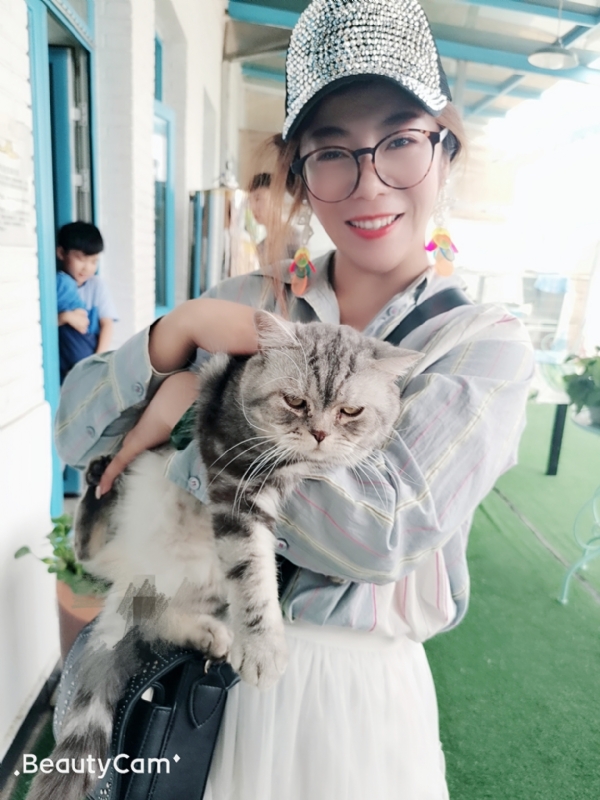 小黑猫的第一张照片--安溪交友网
