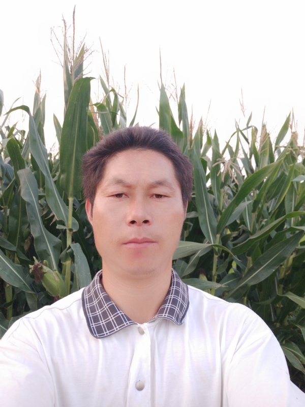 四海游龙的第一张照片--安溪交友网