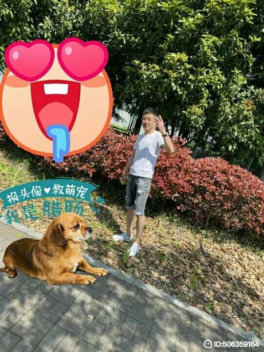我若不坚强谁替我勇敢的第一张照片--安溪交友网