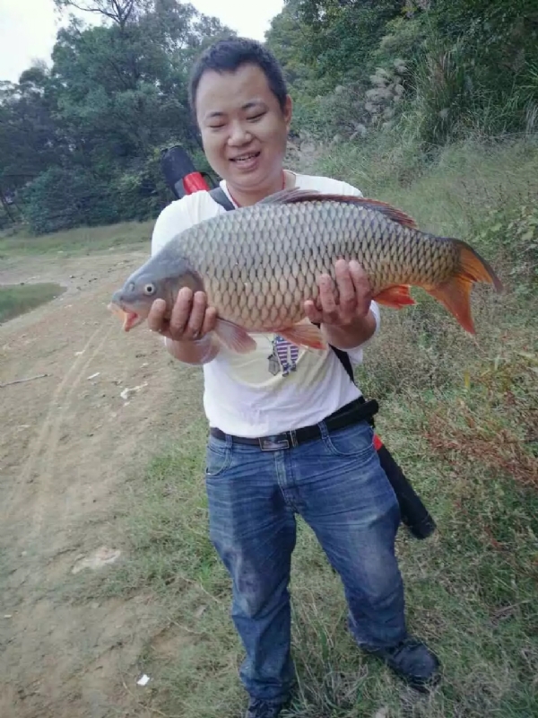 迷路的男人的第一张照片--安溪交友网