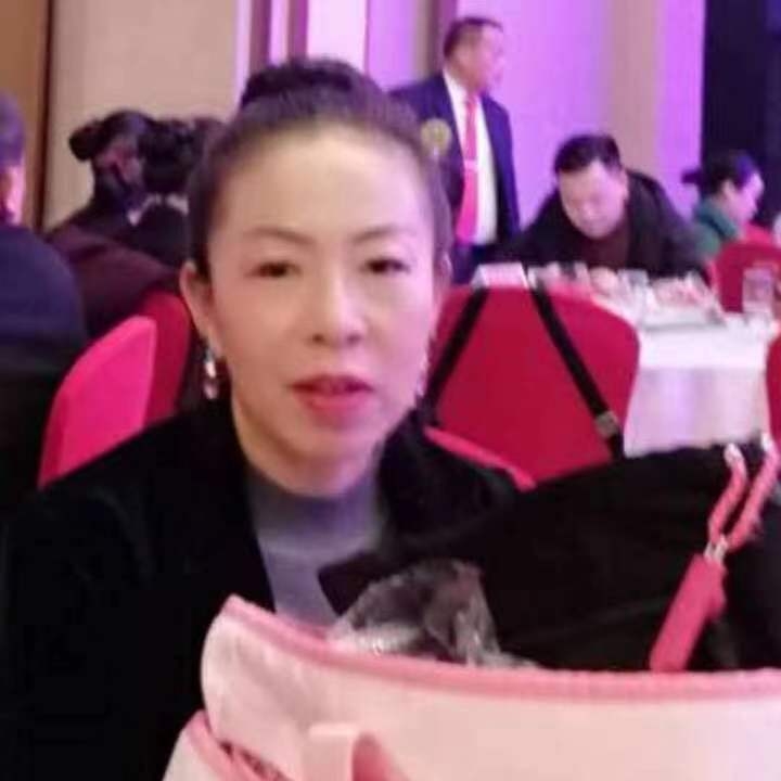 中秋桂花玉兔的第四张照片--安溪交友网