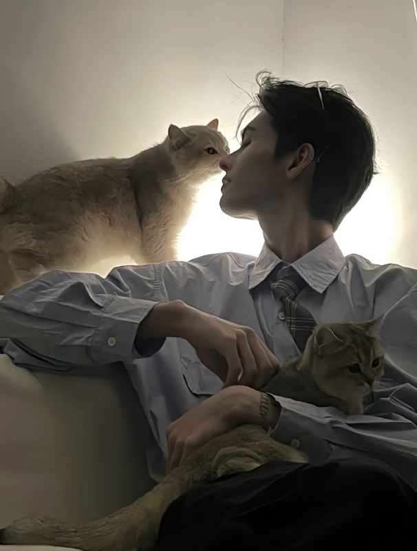 怪猫的第一张照片--安溪交友网